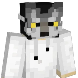 NikitaGati Minecraft avatar bust