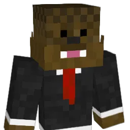 Nikithepro's Minecraft skin