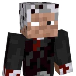 Nikizzz143 Minecraft avatar bust