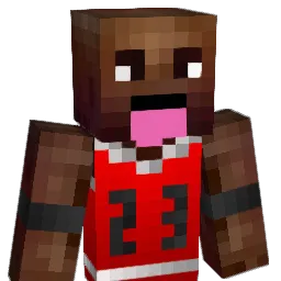 Niklas357 Minecraft avatar bust