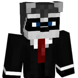 NiklasZ2003 Minecraft avatar bust