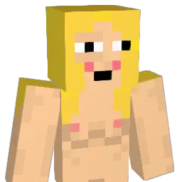 Niklas_1__ Minecraft avatar bust