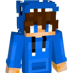 NikoGamerX