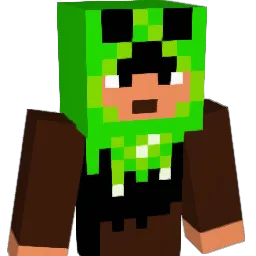 Niko_3011 Minecraft avatar bust