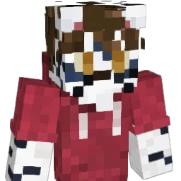 Niko_me Minecraft avatar bust