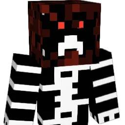 Nikoder1993 Minecraft avatar bust