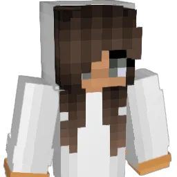 NikolMe Minecraft avatar bust