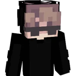 Niky005 Minecraft avatar bust
