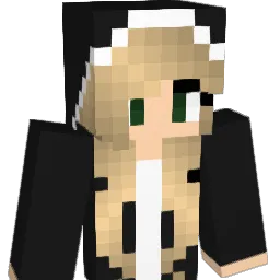Nil05 Minecraft avatar bust