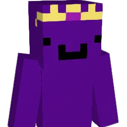 Nilis222 Minecraft avatar bust