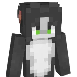 Nillvy