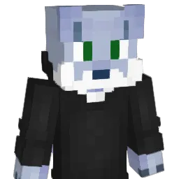 Nilsfuturo784 Minecraft avatar bust