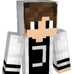 Nilsiboy03 Minecraft avatar bust