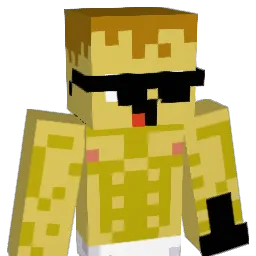 Nilz__'s Minecraft skin