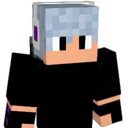 Nimvall's Minecraft skin