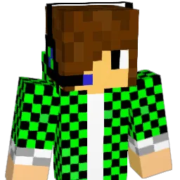 Nin10dogeek64 Minecraft avatar bust