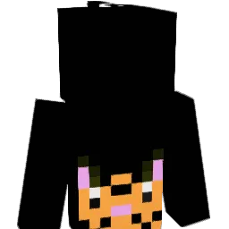 NinaCat9 Minecraft avatar bust