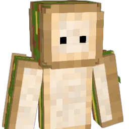 Ninaz Minecraft avatar bust