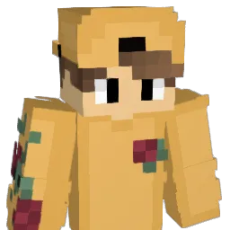 NineLives__ Minecraft avatar bust