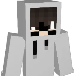 Ninehoy Minecraft avatar bust