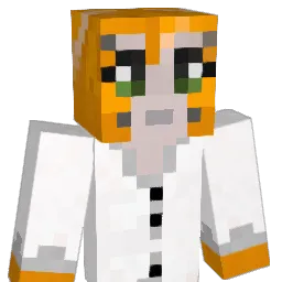 Niner0812 Minecraft avatar bust