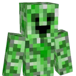 Niners11's Minecraft skin