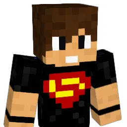 Ninja1228 Minecraft avatar bust