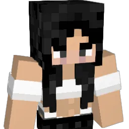 Ninja1256Book's Minecraft skin