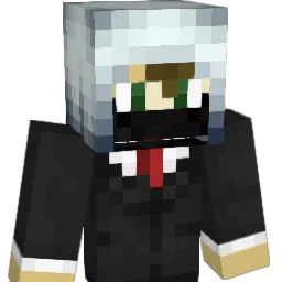 Ninja2471681