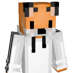 Ninja8_98