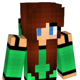 NinjaBoogers Minecraft avatar bust