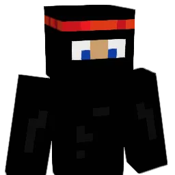 NinjaDoo