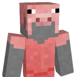 NinjaGamerI's Minecraft skin