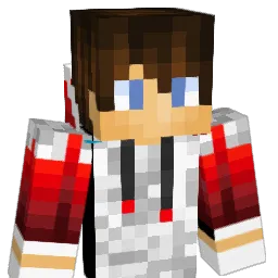 NinjaKid0208 Minecraft avatar bust