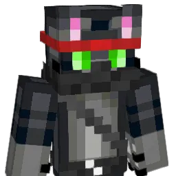 NinjaKitty65500 Minecraft avatar bust