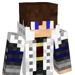 NinjaNoob9091 Minecraft avatar bust