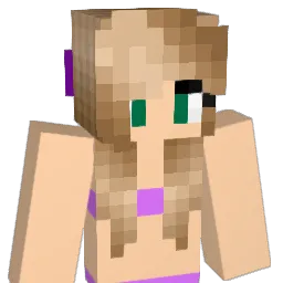 NinjaNoodles12 Minecraft avatar bust