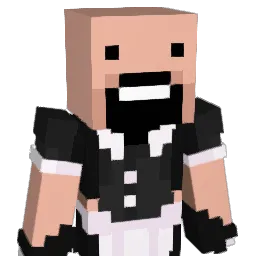 NinjaPaddy Minecraft avatar bust