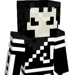 NinjaSkeleton11 Minecraft avatar bust