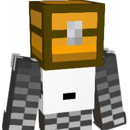 NinjaSkeleton20 Minecraft avatar bust