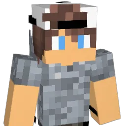 NinjaSwerve245 Minecraft avatar bust