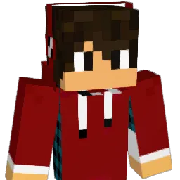 NinjaVoid's Minecraft skin