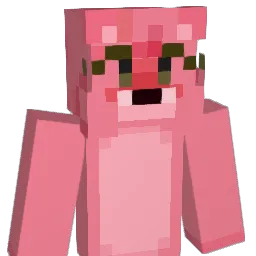 NinjaWarrior1211 Minecraft avatar bust