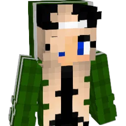 Ninja_Dude98 Minecraft avatar bust