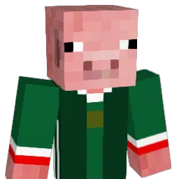 Ninjaempanico Minecraft avatar bust