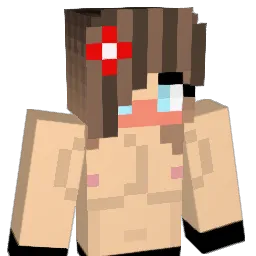 Ninjaextreme007 Minecraft avatar bust