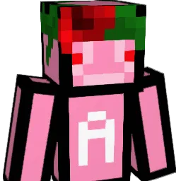 Ninjafor1 Minecraft avatar bust