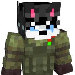 Ninjapirate8015's Minecraft skin