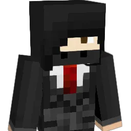 Ninjarion Minecraft avatar bust