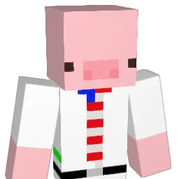 Ninjava66's Minecraft skin